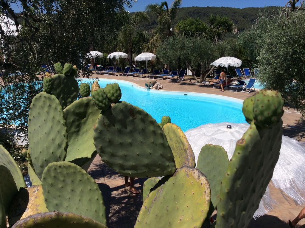 Appart hôtel Paradise Peschici
